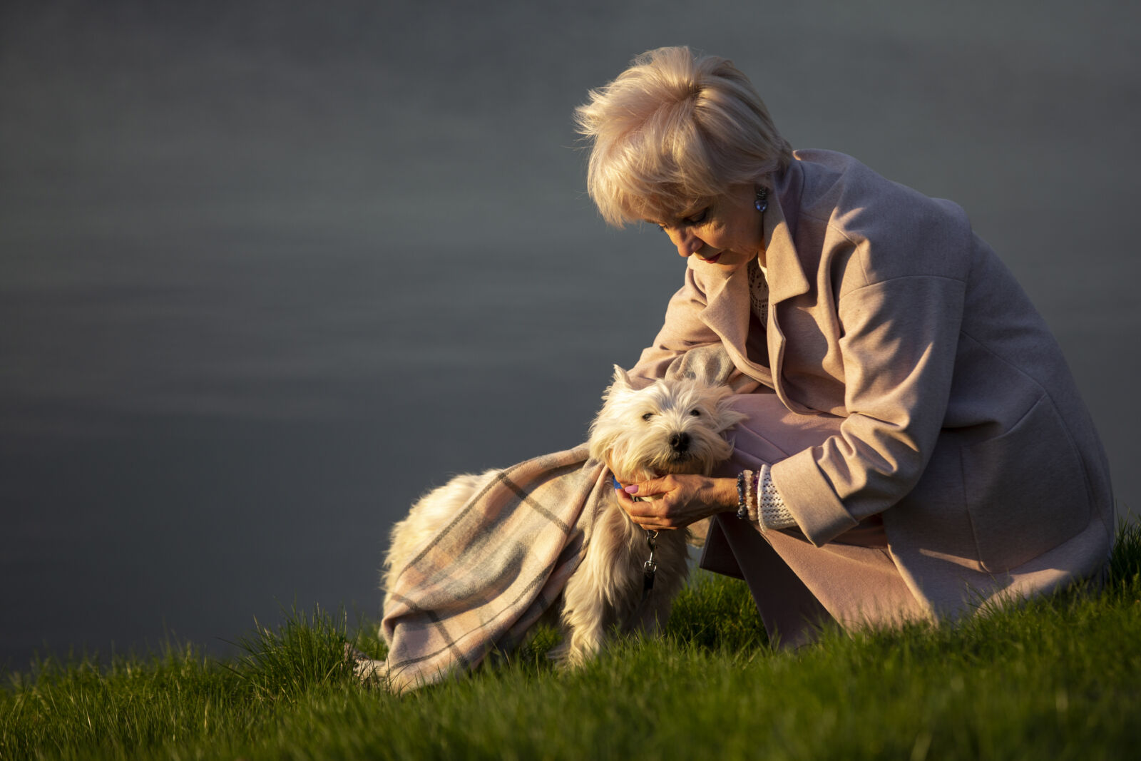 Dog-Assisted Therapy