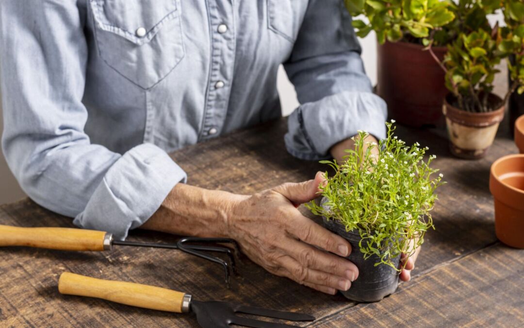 Terapia orticolturale: giardinaggio per migliorare equilibrio e qualità di vita negli anziani con decadimento cognitivo