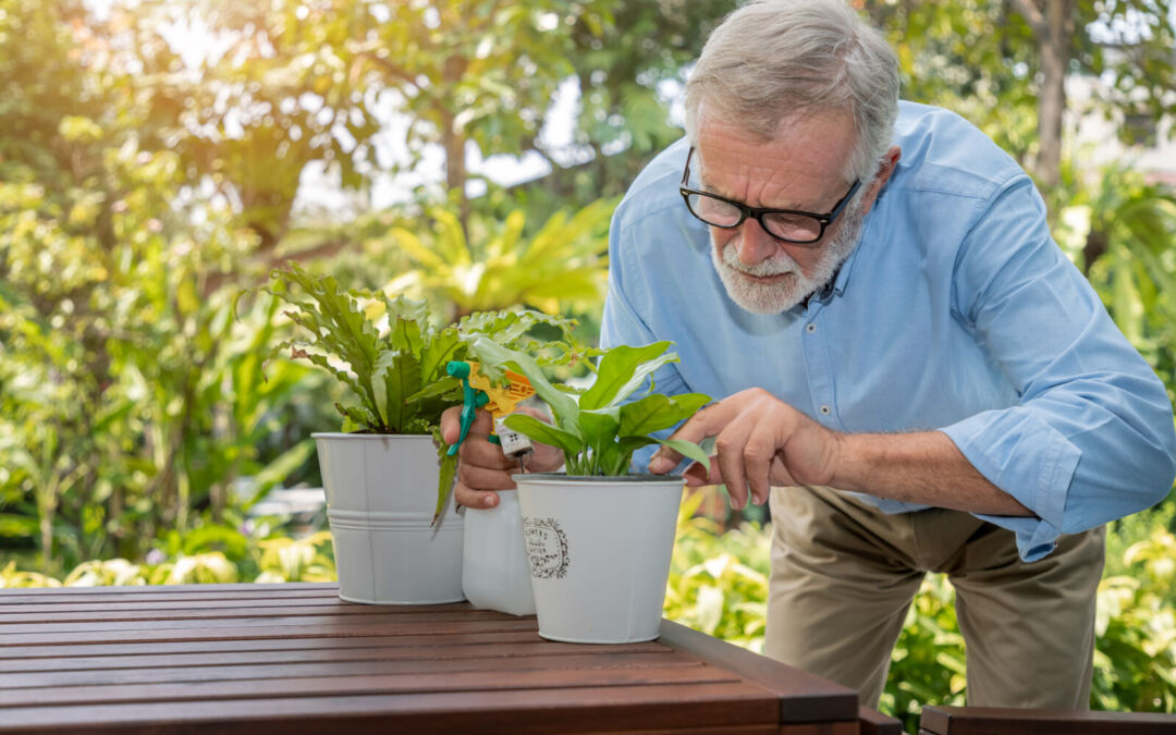 Ortoterapia: il giardino contro il tempo