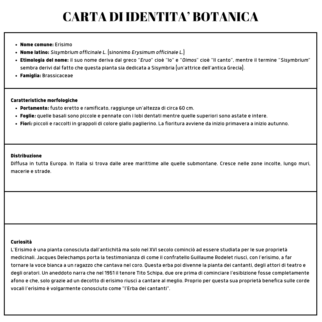 erisimo carta identità botanica